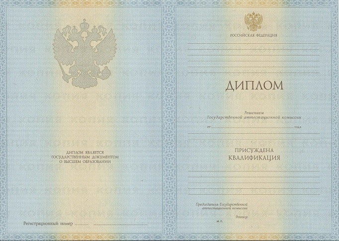 Диплом экономиста 2009-2010 года